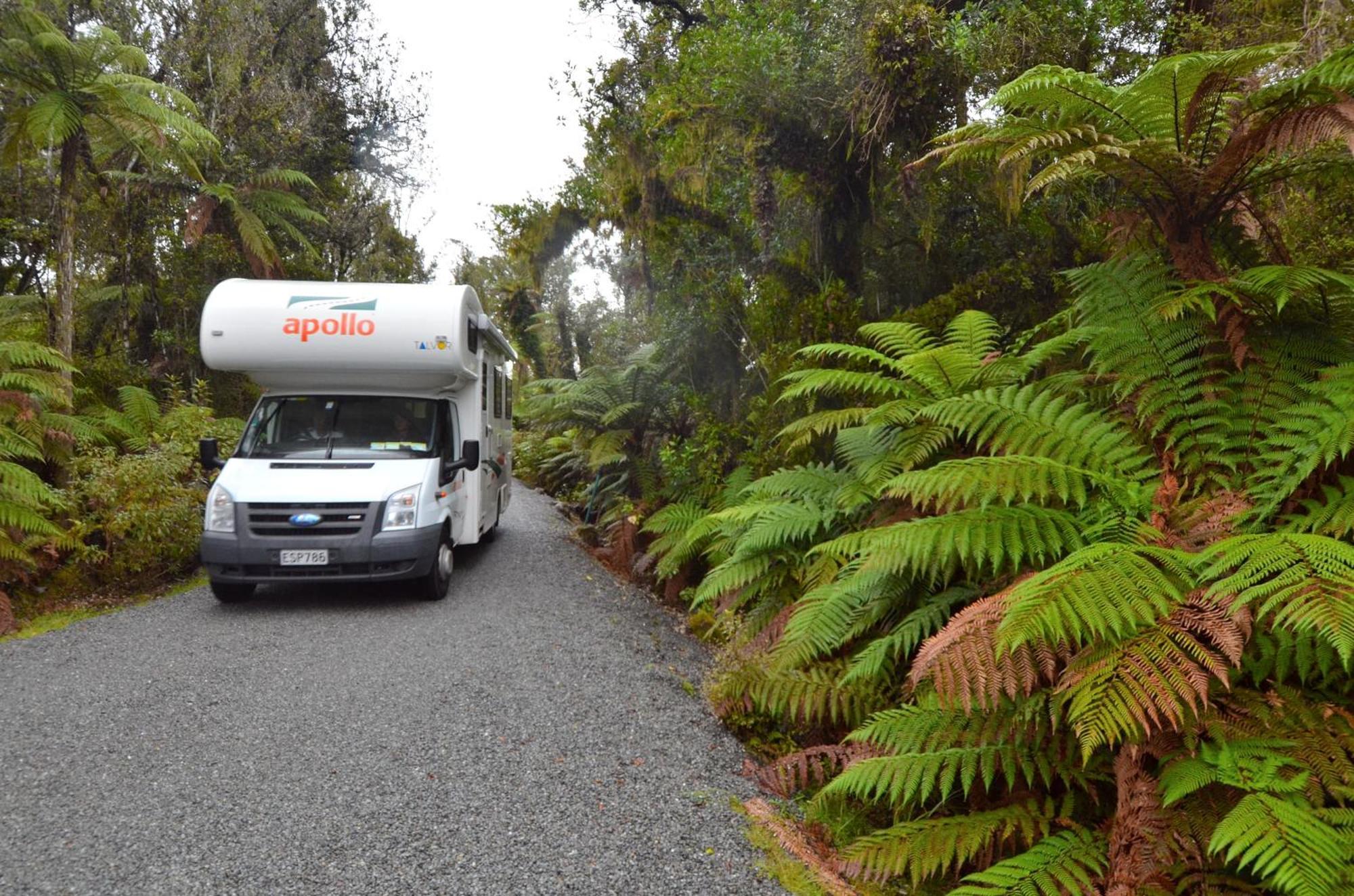 Rainforest Retreat Hotell Franz Josef Exteriör bild