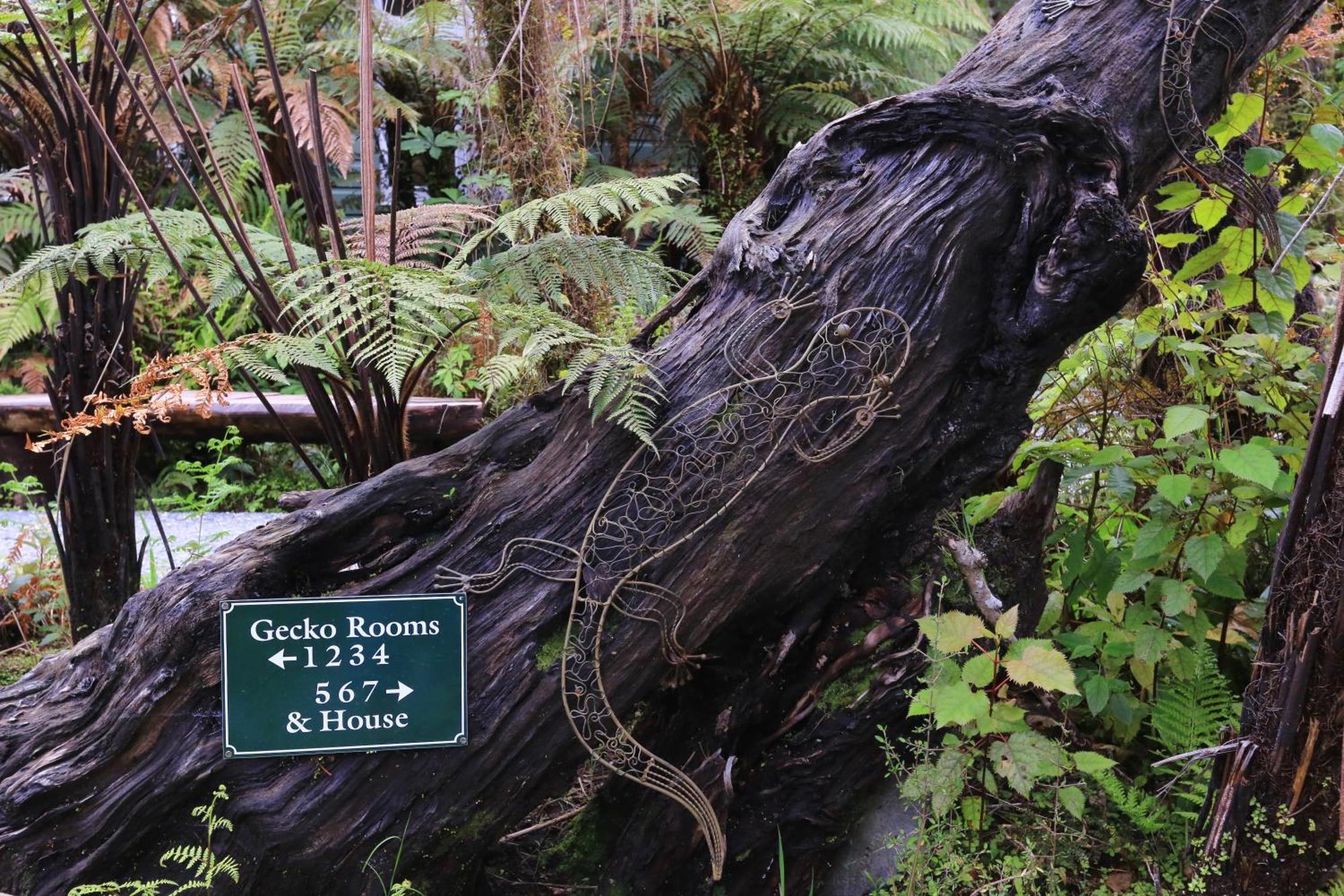 Rainforest Retreat Hotell Franz Josef Rum bild